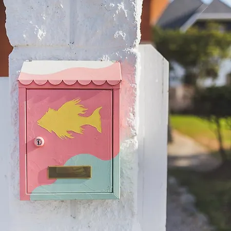 El Pez Escorpion 살리너스