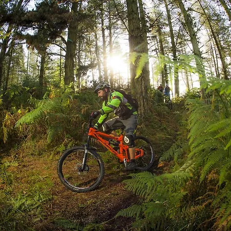 El Pez Escorpion サリナス