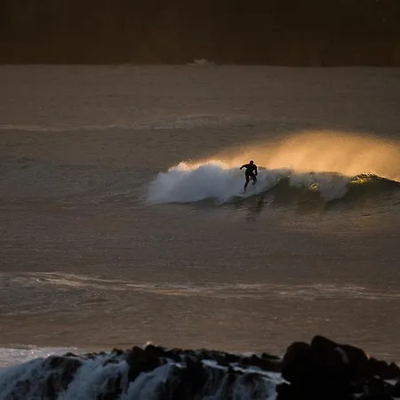 ホステル El Pez Escorpion *