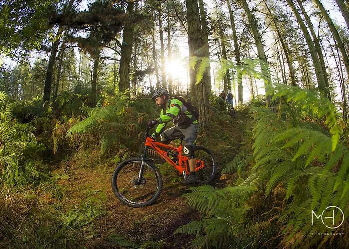 El Pez Escorpion Salinas (Castrillon)