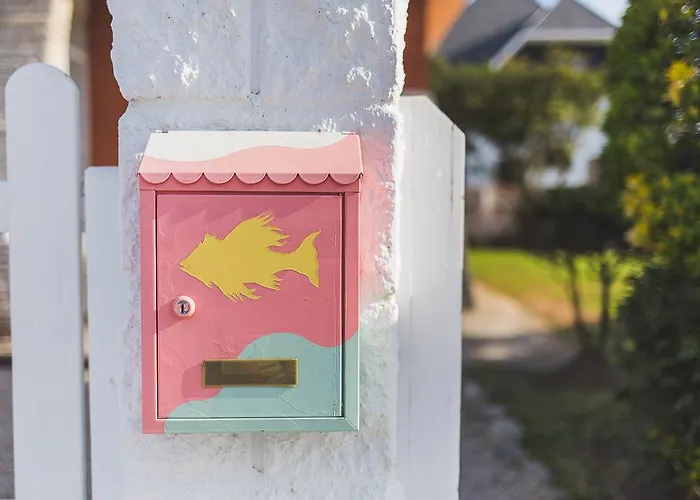 El Pez Escorpion Salinas (Castrillon)