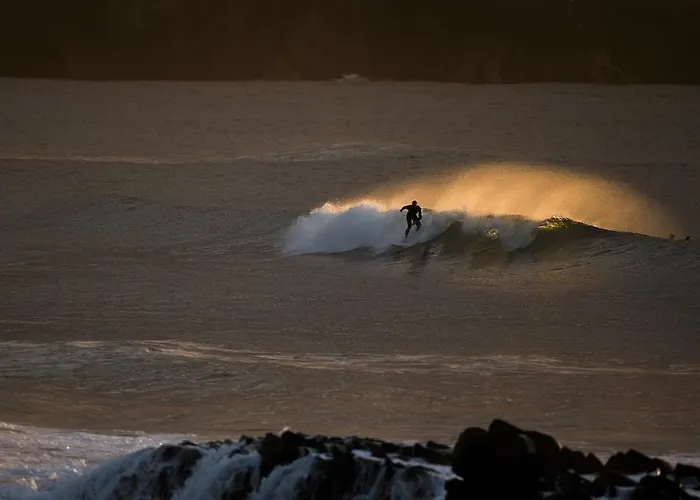 Hostel El Pez Escorpion *